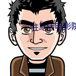 驻马店电影院 （穆如清风