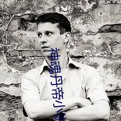神魂丹帝小说