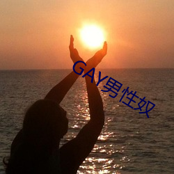 GAY男(nán)性奴