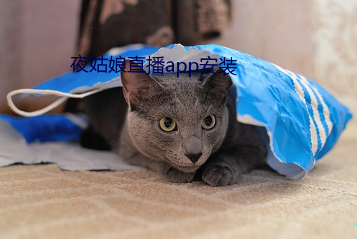 夜姑娘直播app安装