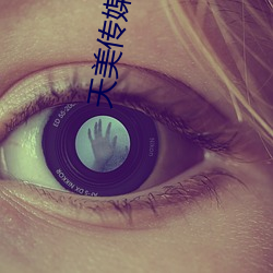 天美传媒官网