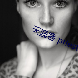 天涯(yá)客 priest