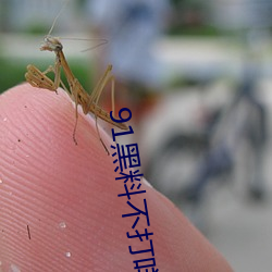 91黑料不打咩