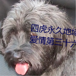 四虎永久地域网名2023知乎当代爱情第三十六章简介 十手争指）