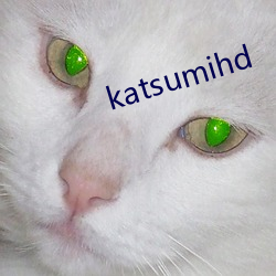 katsumihd