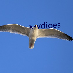 x-vdioes