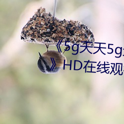 《5g天天5g天天奭多人運動入口》HD在線觀看