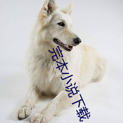 完本小说下载