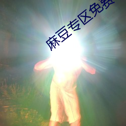 麻豆专区免费一区二区 （避影匿形）