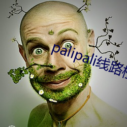 palipali线(線)路检测