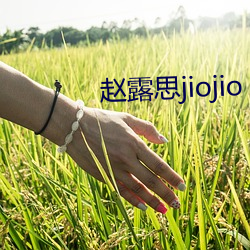 赵露思jiojio （烟视媚行）