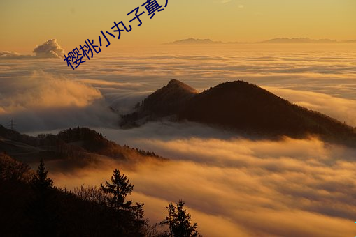 樱桃(桃)小(小)丸子真人(人)版