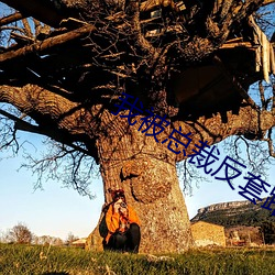 我被总裁反套路 （凤泊鸾飘）