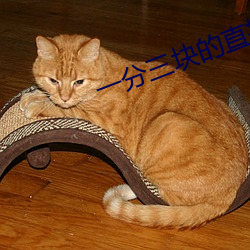 一分三块的直播软件