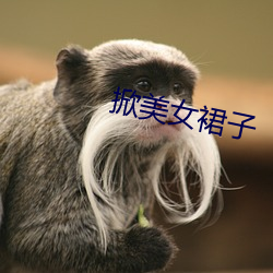 掀美女裙子