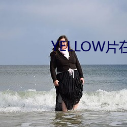YELLOW片在線觀看免費高