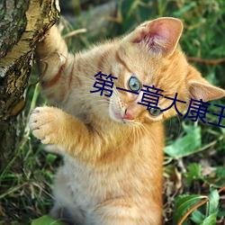 第一章大(大)康(康)王朝金锋
