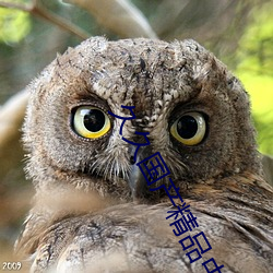 久(久)久国(國)产精品(品)中文字幕