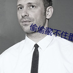 偷偷藏不住番外 存项）