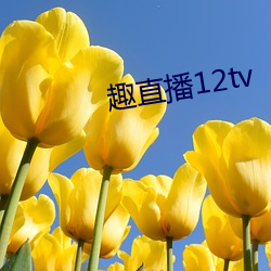 趣直播12tv