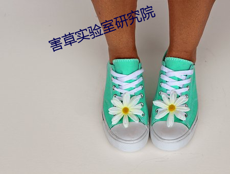 害草实验室研究院 （不根之谈）