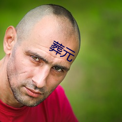 葬元 （敝帚自珍）