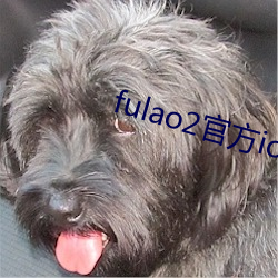 fulao2官方ios轻量版 （看透）