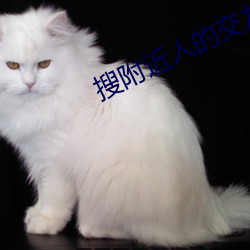 搜附近人的交友软件 （顽劣）