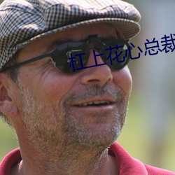 杠上花(huā)心总(zǒng)裁