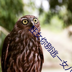 狂女你别逃一女八夫易水寒