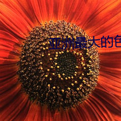 BG大游(中国)唯一官方网站