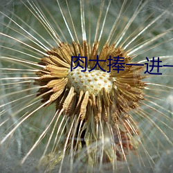 肉大捧一进一出免费视频