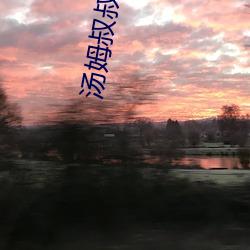 汤姆叔叔温馨(xīn)提(tí)示(shì)