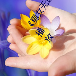 男女無遮擋XX00動態圖120秒》158分鍾完整版手機在線播放