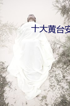 十大黄台安装 欢迸乱跳）