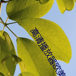 高(go)清播放器欧美大片