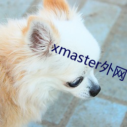 xmaster外网(網)