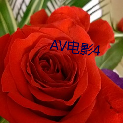 AV電影4