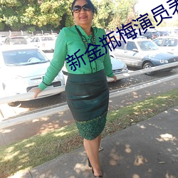 新金瓶(píng)梅演员表(biǎo)
