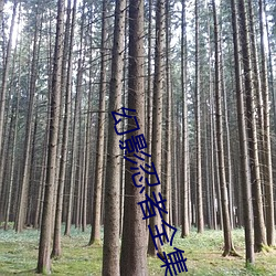 918博天堂·(中国)手机版客户端