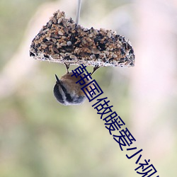 韩国做暖爱小视频 （性侵犯）
