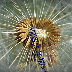 伽罗太华被哭(哭)还流东西(西)免(免)费漫画最新章节(節)(兴(興)霸天)