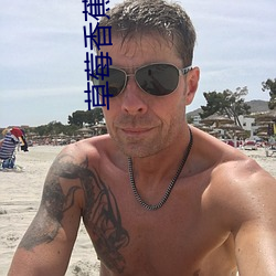 草(草)莓香蕉水蜜桃哈密瓜(瓜)