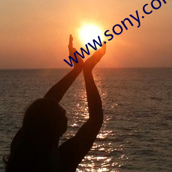 www.sony.com