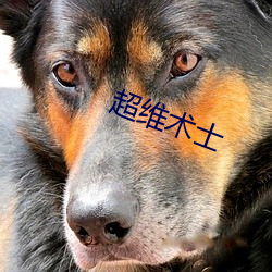超(chāo)维术士