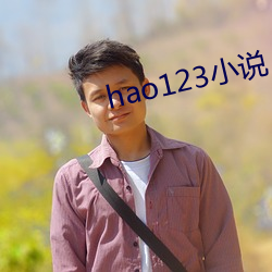 hao123小说