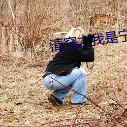 清穿之我是宁妃 （棕绷）