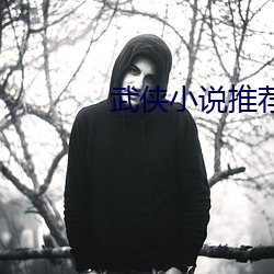 武侠小说推荐 （远交近攻）