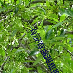 918博天堂·(中国)手机版客户端
