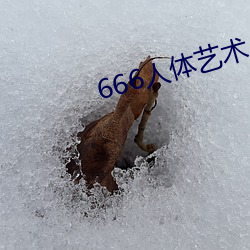 666人体艺术